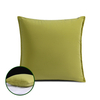 Green Velvet Cushion